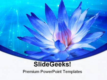 Lotus with light beauty powerpoint templates and powerpoint backgrounds 0311