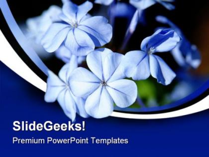 Moonlight blue flowers beauty powerpoint templates and powerpoint backgrounds 0311