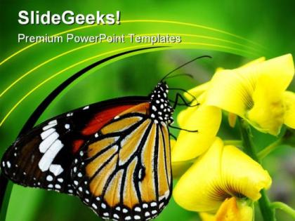 Orange tiger butterfly animals powerpoint templates and powerpoint backgrounds 0211