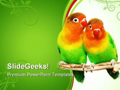 Pair of lovebirds animals powerpoint templates and powerpoint backgrounds 0611