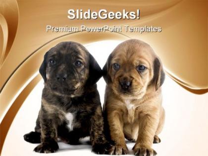 Puppy brothers animals powerpoint templates and powerpoint backgrounds 0711