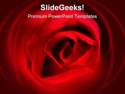 Red rose beauty powerpoint backgrounds and templates 0111
