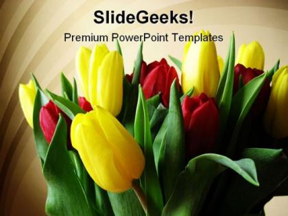 Red yellow tulips beauty powerpoint templates and powerpoint backgrounds 0311
