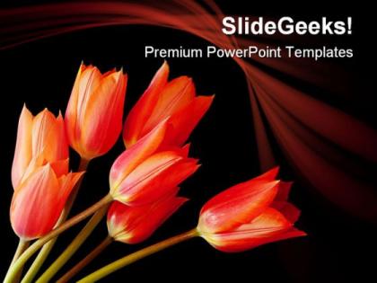 Spray of tulips nature powerpoint templates and powerpoint backgrounds 0211