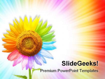 Sunflower beauty powerpoint templates and powerpoint backgrounds 0611