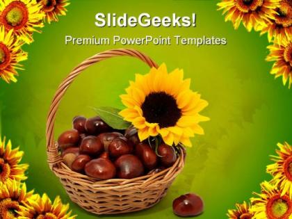 Sunflower with chestnuts nature powerpoint templates and powerpoint backgrounds 0311