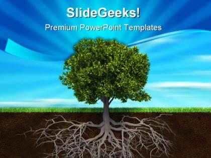 The tree and roots nature powerpoint templates and powerpoint backgrounds 0411
