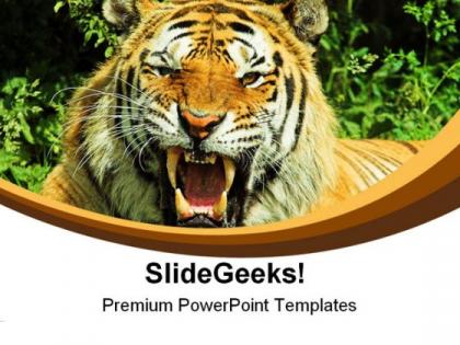 Tiger snarl animals powerpoint templates and powerpoint backgrounds 0211