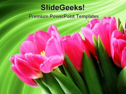 Tulips on green abstract beauty powerpoint templates and powerpoint backgrounds 0311