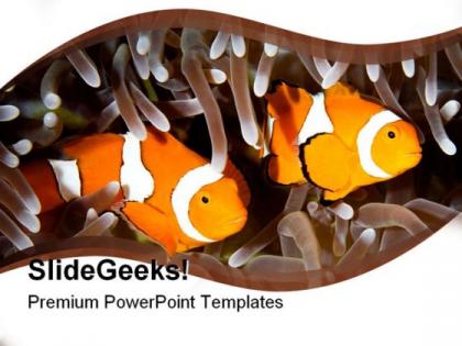 Two clown fishes animals powerpoint templates and powerpoint backgrounds 0211
