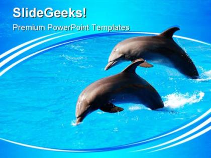 Two dolphin jumping animals powerpoint templates and powerpoint backgrounds 0411
