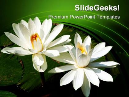 Water lilies nature powerpoint templates and powerpoint backgrounds 0311