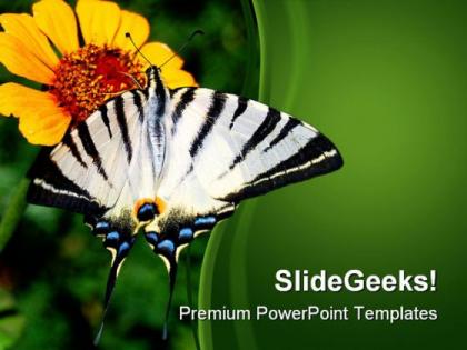 Yellow flower and butterfly nature powerpoint templates and powerpoint backgrounds 0211