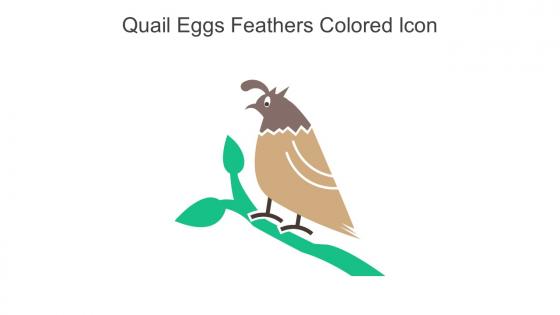 Quail Eggs Feathers Colored Icon In Powerpoint Pptx Png And Editable Eps Format