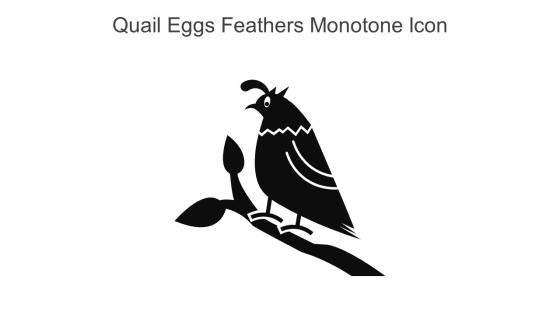 Quail Eggs Feathers Monotone Icon In Powerpoint Pptx Png And Editable Eps Format