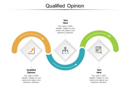 Qualified opinion ppt powerpoint presentation layouts layout cpb