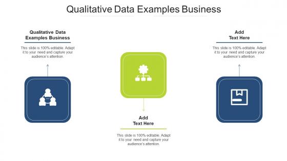 Qualitative Data Examples Business In Powerpoint And Google Slides Cpb