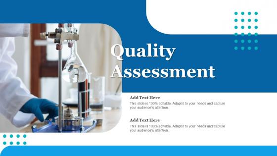 Quality Assessment Ppt Powerpoint Presentation File Objects