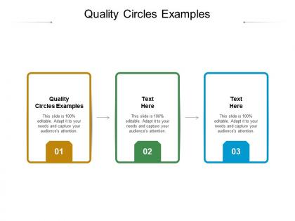 Quality circles examples ppt powerpoint presentation professional show cpb