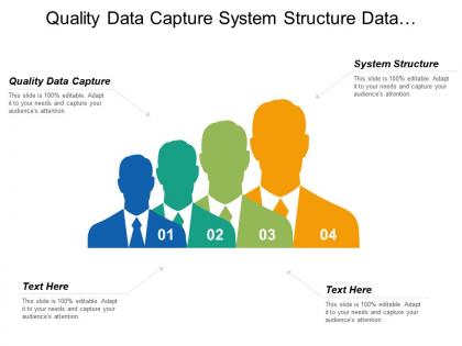 Quality data capture system structure data management reporting cpb