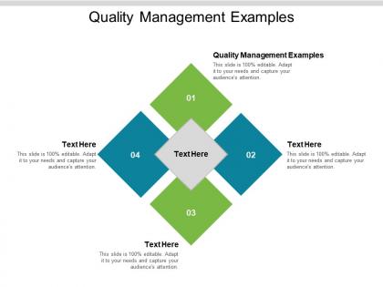 Quality management examples ppt powerpoint presentation infographics ideas cpb