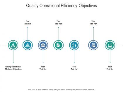 Quality operational efficiency objectives ppt powerpoint presentation file maker cpb