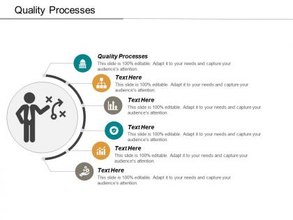 Quality processes ppt powerpoint presentation model graphics design cpb