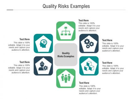 Quality risks examples ppt powerpoint presentation infographic template deck cpb