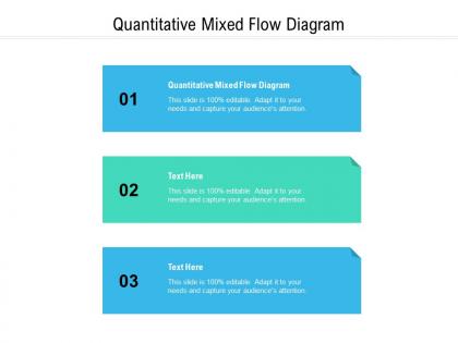 Quantitative mixed flow diagram ppt powerpoint presentation layouts format ideas cpb