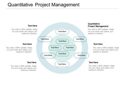 Quantitative project management ppt powerpoint presentation gallery cpb