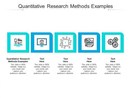 Quantitative research methods examples ppt powerpoint presentation infographics structure cpb