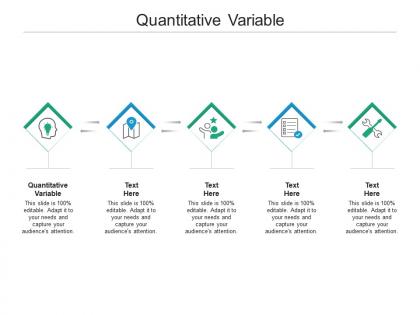 Quantitative variable ppt powerpoint presentation infographics graphics design cpb