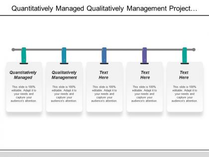 Quantitatively managed qualitatively management project monitoring control password