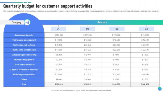 Quarterly Budget For Customer Support Activities Client Assistance Plan To Solve Issues Strategy SS V
