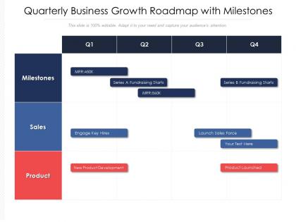 Quarterly business growth roadmap with milestones
