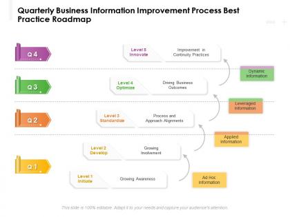 Quarterly business information improvement process best practice roadmap