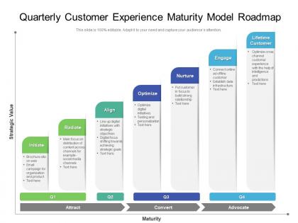 Quarterly customer experience maturity model roadmap