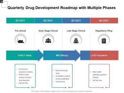 Quarterly drug development roadmap with multiple phases