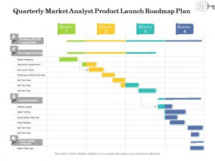 Quarterly market analyst product launch roadmap plan