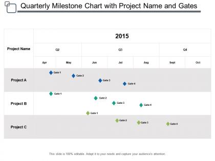 Quarterly milestone chart with project name and gates