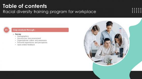 Racial Diversity Training Program For Workplace Table Of Contents DTE SS