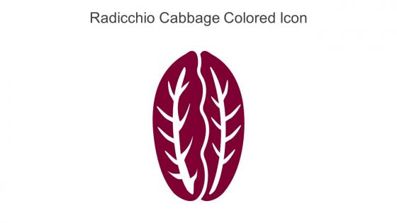 Radicchio Cabbage Colored Icon In Powerpoint Pptx Png And Editable Eps Format