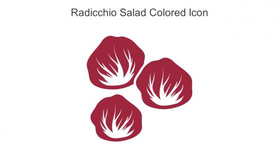 Radicchio Salad Colored Icon In Powerpoint Pptx Png And Editable Eps Format