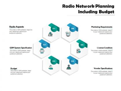 Radio network planning including budget