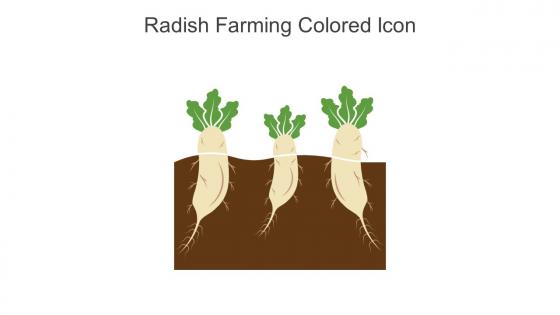 Radish Farming Colored Icon In Powerpoint Pptx Png And Editable Eps Format