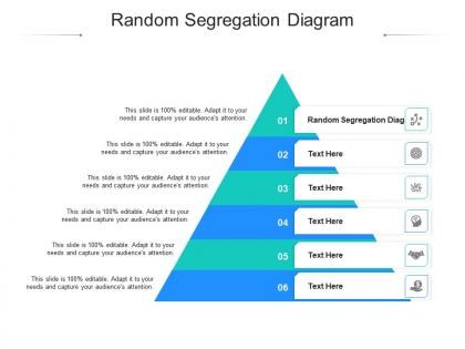 Random segregation diagram ppt powerpoint presentation inspiration layout ideas cpb