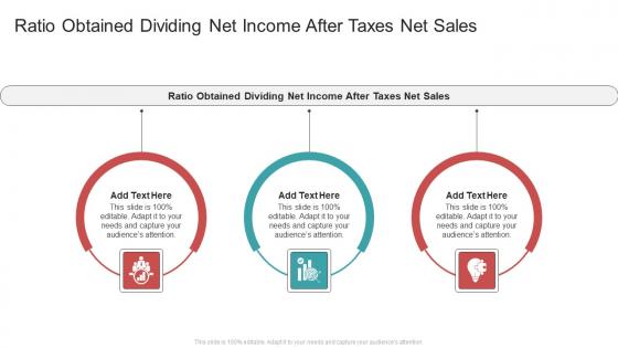 Ratio Obtained Dividing Net Income After Taxes Net Sales In Powerpoint And Google Slides Cpb