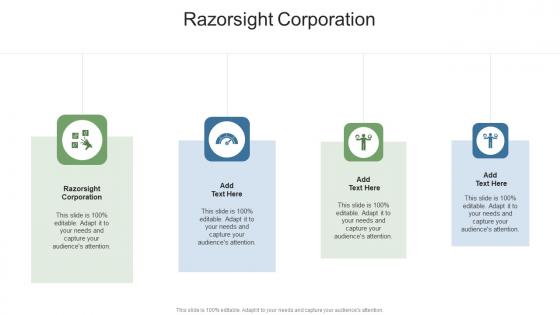 Razorsight Corporation In Powerpoint And Google Slides Cpb