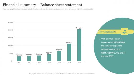 Real Estate Start Up Business Plan Financial Summary Balance Sheet Statement BP SS