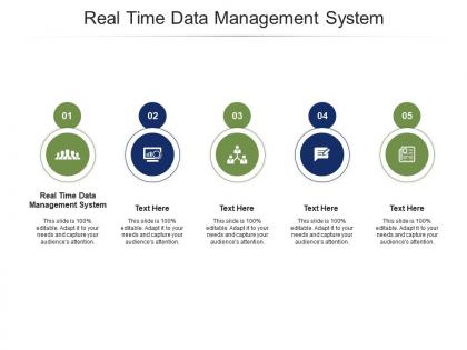 Real time data management system ppt powerpoint presentation ideas grid cpb